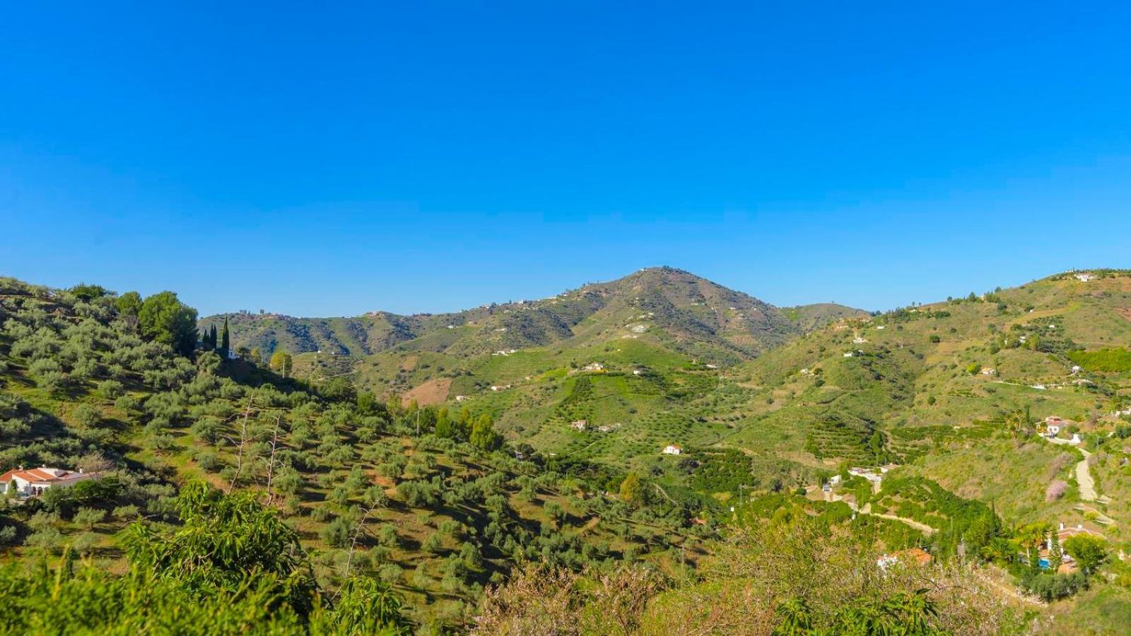 Villa Las Palmeras De Torrox By Ruralidays Dış mekan fotoğraf